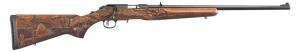 Ruger .22 LR  22 AMERICAN FARMER WOOD STK