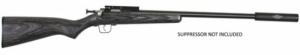 Keystone Crickett .22 LR  16.125in. Single-Shot - KSA2123