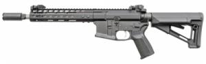 NKE G3 SBR 300BLK 10.5 STR 30