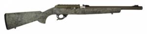 TSI XR TD 22 16.5 BX HG G/G 10 - TD-MOD-B-H-GGRN TSI XR TD 22 16.5 BX HG G/G 10 - TD-MOD-B-H-GGRN