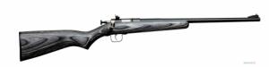 .22 Caliber Cricket Rifles