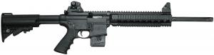Smith & Wesson M&P15-22 Performance Center .22 LR  18" - 170335