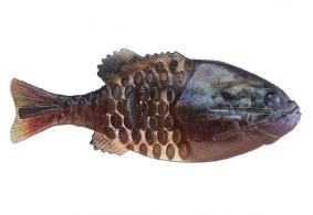 POWERBAIT GILLY HD WARMOUTH 90MM - 1546054