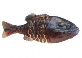 POWERBAIT GILLY HD WARMOUTH 110MM - 1546066