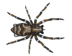 Left Hand PHANTOM SPIDER 2.25" 1/2OZ DOCK - LSPIDER02