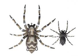 Left Hand PHANTOM SPIDER 2" 1/4OZ DOCK - SPIDER02