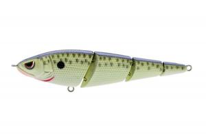 SASHIMMY SWIMMER 105 CELL MATE - SSS105CMT