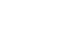 Rapid Pl 1Aa - 53395-019-1 SZ