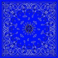 Zan Headgear Navy Paisley Bandanna - B002
