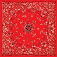 Zan Headgear Red Paisley Bandanna - B003