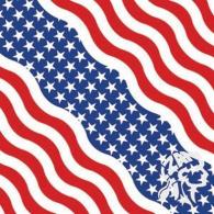 Zan Headgear Wavy American Flag Bandanna - B005