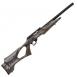 Ruger 10/22 Standard .22 LR Ruger 10/22 Standard .22 LR