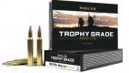 Nosler Trophy Grade Rifle Ammunition 300 Win. Mag. 180 gr. PT SP 20 rd. - 61056