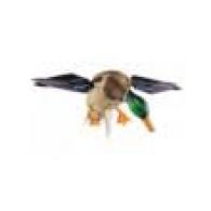 AVIAN X SPINNING WING DUCK