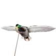 Higdon Outdoors Clone Drake Mallard