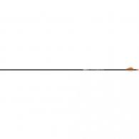 Easton 5mm Axis Sport Arrows 200 2 in. Bully Vanes 6 pk. - 731116