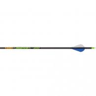 Gold Tip Hunter XT Arrows 500 Raptor Vanes 12 pk. - HXT500A2