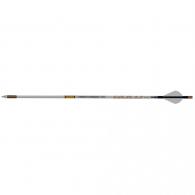 Gold Tip AirStrike Arrows 250 Raptor Vanes 6 pk. - AS250A26