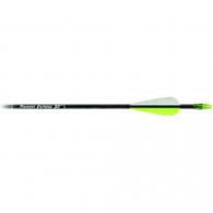 Carbon Express Thunder Express Arrows Black 26 in. 18 pk. - 52018