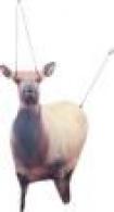 Montana Decoy Eichler Elk
