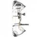 Bear Compund Bow Legit RTH Right Hand 70 MOBottomland