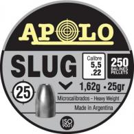 Apolo Slug 25gr 5.5mm .22 Caliber 250rd
