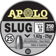 Apolo Slug 25gr 5.5mm .22 Caliber 250rd Apolo Slug 25gr 5.5mm .22 Caliber 250rd