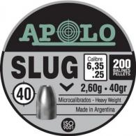 Hatsan Apolo Slug Air Rifle Pellets .25 Cal 40 gr 200/ct - E19304 Hatsan Apolo Slug Air Rifle Pellets .25 Cal 40 gr 200/ct - E19304