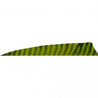 Gateway Shield Cut Feathers Barred Chartreuse 4 in. Left Wing 50 pk. - 400LSBCH-50 Gateway Shield Cut Feathers Barred Chartreuse 4 in. Left Wing 50 pk. - 400LSBCH-50