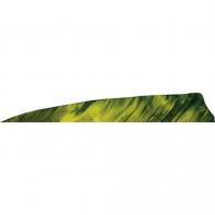 Gateway Shield Cut Feathers Tre Yellow 4 in. Right Wing 50 pk. - 400RSTYL-50