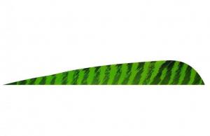 Gateway Barred Feathers Barred Chartreuse 4 in. Right Wing 50 pk. - 400RPBCH-50