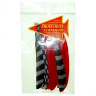Trueflight Feather Combo Pack Barred/Red 5 in. LW Shield Cut - 21932