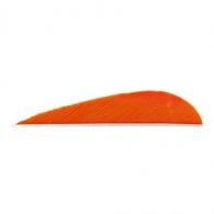 Trueflight Parabolic Feathers Orange 3 in. RW 100 pk. - 11205