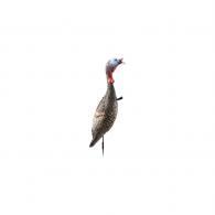 Flextone Funky Chicken Gen 2 - FLX-FLXDY330