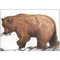 Maple Leaf NFAA Animal Faces Group 1 Grizzly - NFA-02