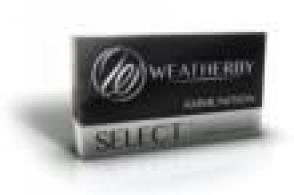 .340 WBY 250GR HORNADY INTERLOCK