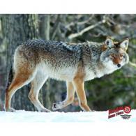 DuraMesh Archery Target Coyote 25 in. x 32 in. - DM209