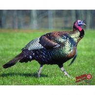 DuraMesh Archery Target Turkey 25 in. x 32 in. - DM217 DuraMesh Archery Target Turkey 25 in. x 32 in. - DM217