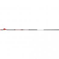 BloodSport Judgement Arrows 300 2" Vanes 6 pk. - BLS-PSB130106