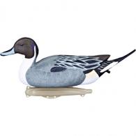 Flambeau Classic Pintail Decoy 6 pk. - 8022SUV