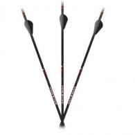 Carbon Express Maxima Sable RZ 400 Hunting Arrows - 6/pk Carbon Express Maxima Sable RZ 400 Hunting Arrows - 6/pk