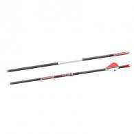 Bloodsport Punisher Arrow 300 Spine 6/pk - BLS-B10030406