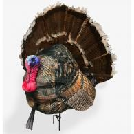 Wiley Tom 3D Decoy - Full Strutting
