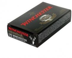 Winchester Ballistic Silvertip Rifle Ammunition .243 Win 95 gr BST 3100 fps - 20/box - SBST243A