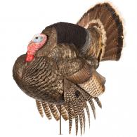Dave Smith Decoy Strutter Decoy - STR