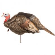 Dave Smith 3/4 Strut Jake Decoy - JAK Dave Smith 3/4 Strut Jake Decoy - JAK