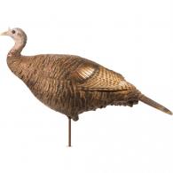 Dave Smith Decoy Leading Hen Decoy - LHD Dave Smith Decoy Leading Hen Decoy - LHD