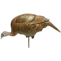 Dave Smith Decoy Feeding Hen Decoy - FEH Dave Smith Decoy Feeding Hen Decoy - FEH