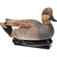 AvianX Power Swimmer Duck Decoy Gadwall Drake - AVX-PSW-GDSW