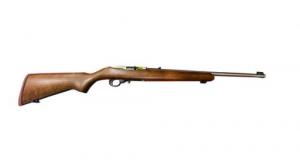 10/22 .22 LR  18.5" SS/Stained Beech 10rd - 31214